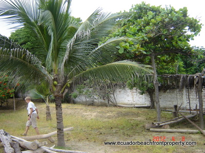 Bahia real estate